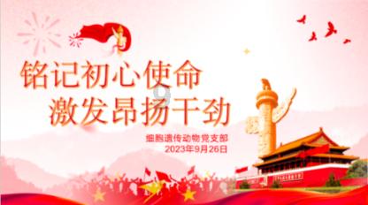 熊出没夺宝历险